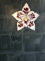 Eric Young Orchid Foundation (3).jpeg