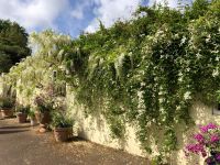 Gartentour Privatgarten 1 (2).jpeg