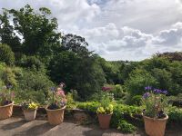 Gartentour Privatgarten 1 (4).jpeg