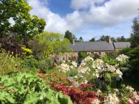 Gartentour Privatgarten 1 (6).jpeg