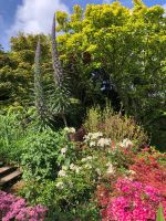 Gartentour Privatgarten 1 (7).jpeg