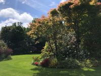 Gartentour Privatgarten 2 (3).jpeg