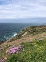 Steilküste Guernsey (1).jpeg