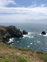 Steilküste Guernsey (4).jpeg