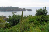 Guernsey - Südküste