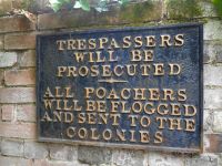 Jersey - Privatgarten 