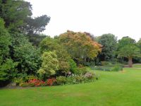 Jersey - Privatgarten 