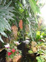 Jersey - Eric Young Orchid Foundation