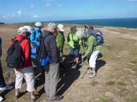 Wanderung von Grosnez zu Greve de Leq