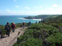 Wanderung von Grosnez zu Greve de Leq