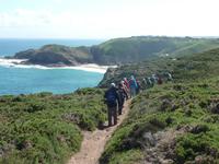 Wanderung von Grosnez zu Greve de Leq