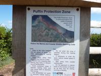 Schutzgebiet für Papageitaucher