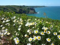 Wanderung von Greve de Leq zum Devil's Hole