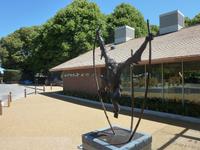 Durrell Wildlife Zoo