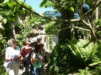 Gehege mit frei fliegenden Vögeln