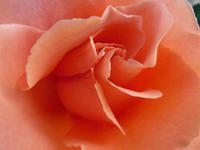 Im Howard Davis Park St. Helier