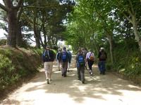 Wanderung entlang der Gärten und Häuschen von Sark