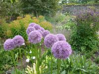 Besuch des Gartens La Seigneurie