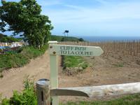 Wanderweg entlang der Weinberge