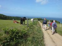 Wanderung auf Sark zurück zum Hafen