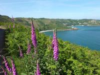 Küstenwanderung auf Jersey zur Boley Bay
