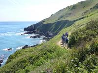 Küstenwanderung auf Jersey zur Boley Bay