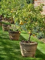 Besuch eines Privatgartens