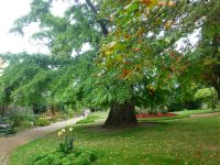 Candie Gardens in der Hauptstadt St. Peter Port, eine zauberhafte Gartenanlage