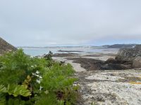 Aussicht auf St. Helier vom Elizabeth Castle