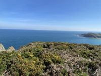 Aussicht vom Küstenpfad im Norden