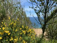 Aussicht vom Küstenpfad im Norden Jerseys