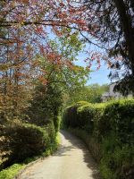 Spazierweg entlang der alten Eisenbahnstrecke