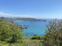 Aussicht vom Küstenpfad auf Guernsey