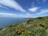 Aussicht vom Küstenpfad auf Guernsey