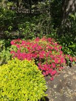 Gartentour - Privatgarten Familie Miles