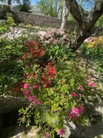 Gartentour - Privatgarten Familie Skinner