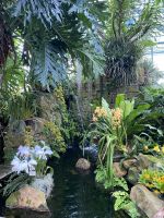 Eric Young Orchid Foundation