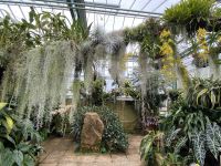 Eric Young Orchid Foundation