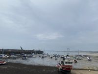 Hafen bei Ebbe in Gorey