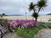 Gartenanlage an der Promenade St. Brelades Bay