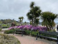 Gartenanlage an der Promenade St. Brelades Bay