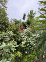 Howard Davis Park in St. Helier