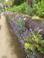 Rundgang in der Gartenanlage