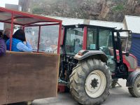 Taxi vom Hafen ins Ortszentrum