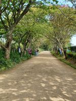 auf dem Weg zum La Seigneurie