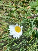 Inselrundfahrt auf Jersey