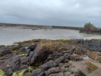 Inselrundfahrt auf Jersey