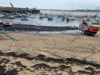 Inselrundfahrt auf Jersey