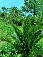 Inselrundfahrt auf Jersey