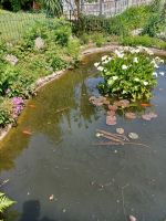 Rundgang auf Guernsey